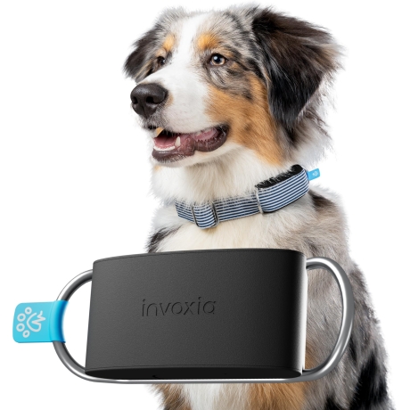 INVOXIA MINI TAILZ HEART MONITOR LWT6 (WITH 1 YEAR SUBSCRIPTION)