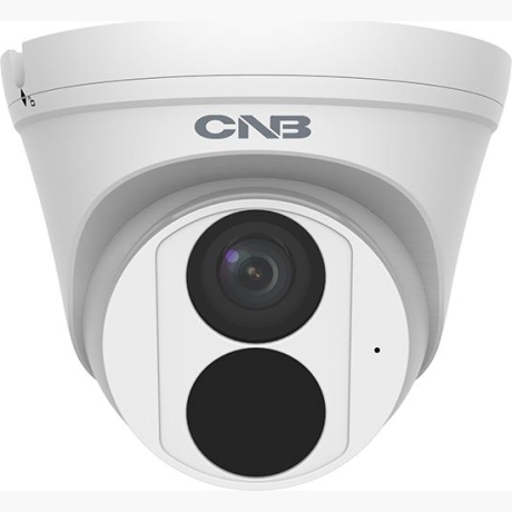 NET CAMERA 4MP IR EYEBALL/TDT41R-36W CNB
