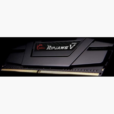 MEMORY DIMM 16GB PC25600 DDR4/F4-3200C16S-16GVK G.SKILL