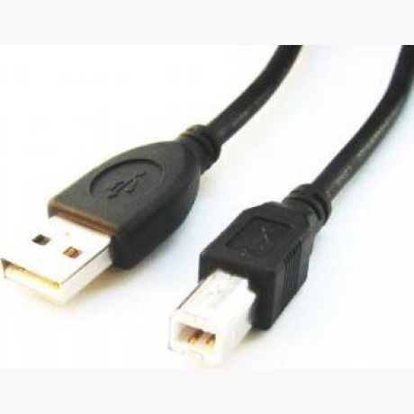 CABLE USB2 AM-BM 1.8M/CCP-USB2-AMBM-6 GEMBIRD