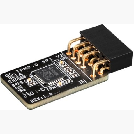 MB ACC TPM MODULE/GC-TPM2.0 SPI V2 1.0 GIGABYTE