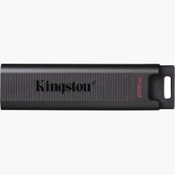 MEMORY DRIVE FLASH USB3.2/256GB DTMAX/256GB KINGSTON