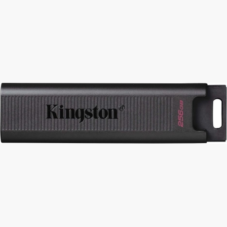 MEMORY DRIVE FLASH USB3.2/256GB DTMAX/256GB KINGSTON