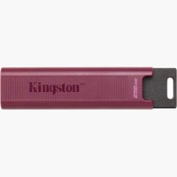 MEMORY DRIVE FLASH USB3.2/256GB DTMAXA/256GB KINGSTON