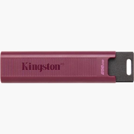 MEMORY DRIVE FLASH USB3.2/256GB DTMAXA/256GB KINGSTON
