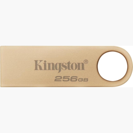 MEMORY DRIVE FLASH USB3.2/256GB DTSE9G3/256GB KINGSTON