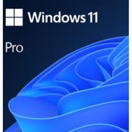 Software|MICROSOFT|Win 11 Pro GGK 64Bit Eng Intl 1pk DSP ORT OEI DVD|Win Pro|OEM|English|4YR-00316