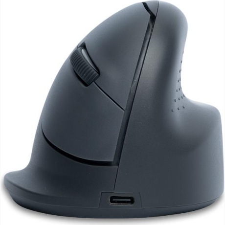 MOUSE USB OPTICAL WRL BASIC/R. GREY RGOHEBAMRWL R-GO TOOLS