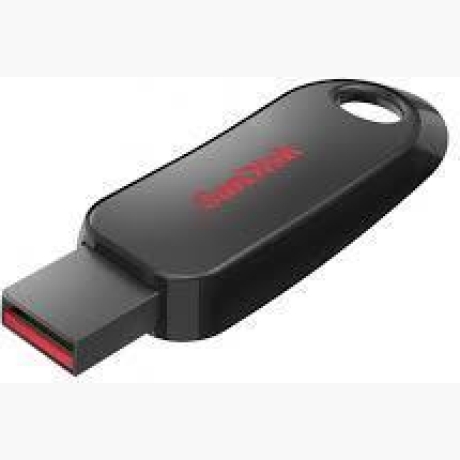 MEMORY DRIVE FLASH USB2 128GB/SDCZ62-128G-G35 SANDISK