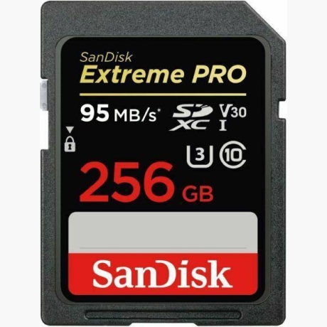 MEMORY SDXC 256GB UHS-1/SDSDXXD-256G-GN4IN SANDISK