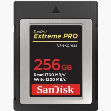 MEMORY COMPACT FLASH 256GB/SDCFE-256G-GN4NN SANDISK