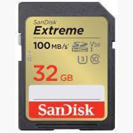 MEMORY SDHC 32GB UHS-1/SDSDXVT-032G-GNCIN SANDISK