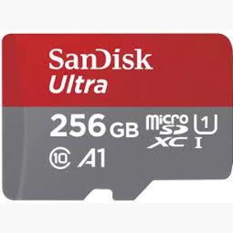 MEMORY MICRO SDXC 256GB UHS-I/SDSQUAC-256G-GN6FA SANDISK