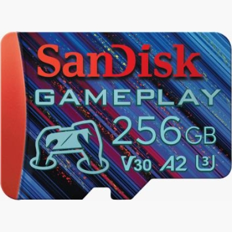 MEMORY MICRO SDXC 256GB UHS-I/SDSQXAV-256G-GN6XN SANDISK