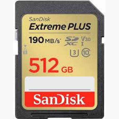 MEMORY SDXC 512GB UHS-1/SDSDXWV-512G-GNCIN SANDISK