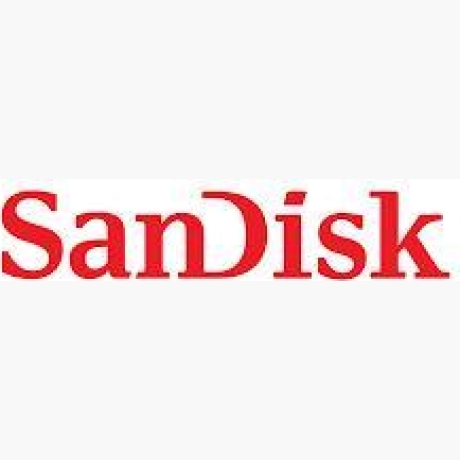 MEMORY COMPACT FLASH 480GB/SDCFEA-480G-GN4NN SANDISK