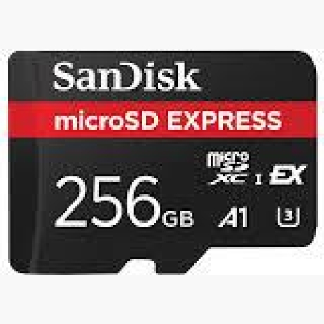 MEMORY MICRO SDXC 256GB UHS-I/SDSQXFN-256G-GN4NN SANDISK