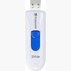 MEMORY DRIVE FLASH USB3.1/256GB TS256GJF790W TRANSCEND