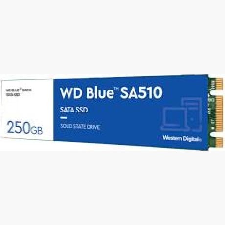 SSD|WESTERN DIGITAL|Blue SA510|250GB|M.2|SATA 3.0|Write speed 440 MBytes/sec|Read speed 555 MBytes/sec|2.38mm|TBW 100 TB|MTBF 1750000 hours|WDS250G3B0B